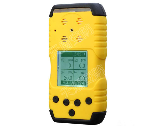 Portable Multi Gas Detector